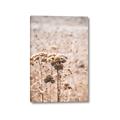 Picture of Macro Dried Florals _GroupedProduct_Rectangle_Portrait_Photography _GroupedProduct_Rectangle_Portrait_Canvas_