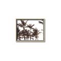 Picture of Cali Palms Sepia Collection _GroupedProduct_Rectangle_Landscape_Photography _GroupedProduct_Rectangle_Landscape_Canvas_Framed_