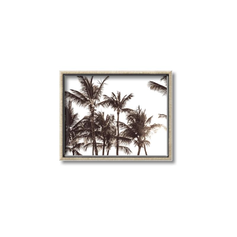 Picture of Cali Palms Sepia Collection _GroupedProduct_Rectangle_Landscape_Photography _GroupedProduct_Rectangle_Landscape_Canvas_Framed_