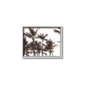 Picture of Cali Palms Sepia Collection _GroupedProduct_Rectangle_Landscape_Photography _GroupedProduct_Rectangle_Landscape_Canvas_Framed_