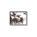 Picture of Cali Palms Sepia Collection _GroupedProduct_Rectangle_Landscape_Photography _GroupedProduct_Rectangle_Landscape_Canvas_Framed_