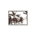 Picture of Cali Palms Sepia Collection _GroupedProduct_Rectangle_Landscape_Photography _GroupedProduct_Rectangle_Landscape_Canvas_Framed_