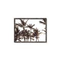 Picture of Cali Palms Sepia Collection _GroupedProduct_Rectangle_Landscape_Photography _GroupedProduct_Rectangle_Landscape_Canvas_Framed_