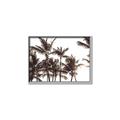 Picture of Cali Palms Sepia Collection _GroupedProduct_Rectangle_Landscape_Photography _GroupedProduct_Rectangle_Landscape_Canvas_Framed_