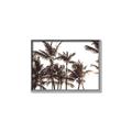 Picture of Cali Palms Sepia Collection _GroupedProduct_Rectangle_Landscape_Photography _GroupedProduct_Rectangle_Landscape_Canvas_Framed_