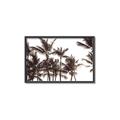 Picture of Cali Palms Sepia Collection _GroupedProduct_Rectangle_Landscape_Photography _GroupedProduct_Rectangle_Landscape_Canvas_Framed_