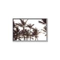 Picture of Cali Palms Sepia Collection _GroupedProduct_Rectangle_Landscape_Photography _GroupedProduct_Rectangle_Landscape_Canvas_Framed_
