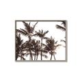Picture of Cali Palms Sepia Collection _GroupedProduct_Rectangle_Landscape_Photography _GroupedProduct_Rectangle_Landscape_Canvas_Framed_