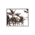 Picture of Cali Palms Sepia Collection _GroupedProduct_Rectangle_Landscape_Photography _GroupedProduct_Rectangle_Landscape_Canvas_Framed_
