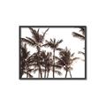 Picture of Cali Palms Sepia Collection _GroupedProduct_Rectangle_Landscape_Photography _GroupedProduct_Rectangle_Landscape_Canvas_Framed_