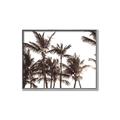 Picture of Cali Palms Sepia Collection _GroupedProduct_Rectangle_Landscape_Photography _GroupedProduct_Rectangle_Landscape_Canvas_Framed_