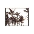 Picture of Cali Palms Sepia Collection _GroupedProduct_Rectangle_Landscape_Photography _GroupedProduct_Rectangle_Landscape_Canvas_Framed_