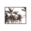 Picture of Cali Palms Sepia Collection _GroupedProduct_Rectangle_Landscape_Photography _GroupedProduct_Rectangle_Landscape_Canvas_Framed_