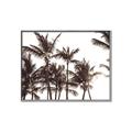 Picture of Cali Palms Sepia Collection _GroupedProduct_Rectangle_Landscape_Photography _GroupedProduct_Rectangle_Landscape_Canvas_Framed_
