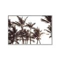 Picture of Cali Palms Sepia Collection _GroupedProduct_Rectangle_Landscape_Photography _GroupedProduct_Rectangle_Landscape_Canvas_Framed_