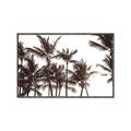 Picture of Cali Palms Sepia Collection _GroupedProduct_Rectangle_Landscape_Photography _GroupedProduct_Rectangle_Landscape_Canvas_Framed_