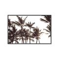 Picture of Cali Palms Sepia Collection _GroupedProduct_Rectangle_Landscape_Photography _GroupedProduct_Rectangle_Landscape_Canvas_Framed_