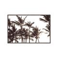 Picture of Cali Palms Sepia Collection _GroupedProduct_Rectangle_Landscape_Photography _GroupedProduct_Rectangle_Landscape_Canvas_Framed_
