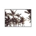Picture of Cali Palms Sepia Collection _GroupedProduct_Rectangle_Landscape_Photography _GroupedProduct_Rectangle_Landscape_Canvas_Framed_
