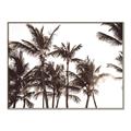 Picture of Cali Palms Sepia Collection _GroupedProduct_Rectangle_Landscape_Photography _GroupedProduct_Rectangle_Landscape_Canvas_Framed_
