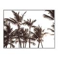Picture of Cali Palms Sepia Collection _GroupedProduct_Rectangle_Landscape_Photography _GroupedProduct_Rectangle_Landscape_Canvas_Framed_