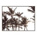 Picture of Cali Palms Sepia Collection _GroupedProduct_Rectangle_Landscape_Photography _GroupedProduct_Rectangle_Landscape_Canvas_Framed_