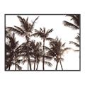 Picture of Cali Palms Sepia Collection _GroupedProduct_Rectangle_Landscape_Photography _GroupedProduct_Rectangle_Landscape_Canvas_Framed_