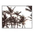 Picture of Cali Palms Sepia Collection _GroupedProduct_Rectangle_Landscape_Photography _GroupedProduct_Rectangle_Landscape_Canvas_Framed_