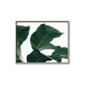 Picture of Plant Bliss _GroupedProduct_Rectangle_Landscape_Photography _GroupedProduct_Rectangle_Landscape_Canvas_Framed_