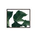 Picture of Plant Bliss _GroupedProduct_Rectangle_Landscape_Photography _GroupedProduct_Rectangle_Landscape_Canvas_Framed_
