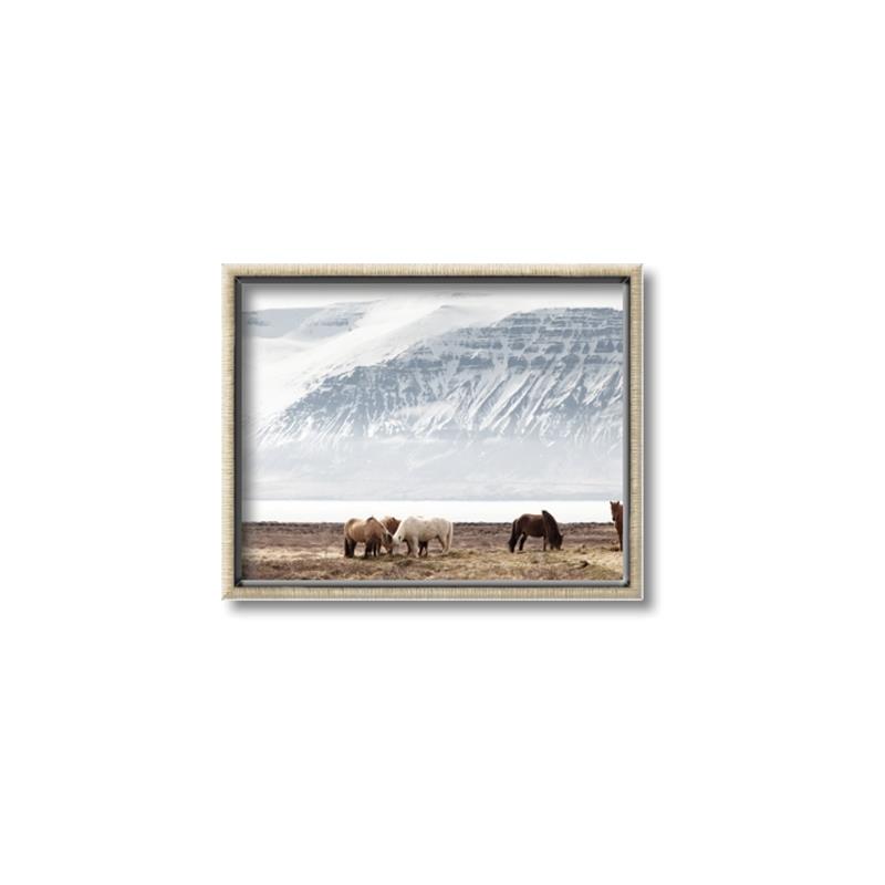 Picture of Wild Horses _GroupedProduct_Rectangle_Landscape_Photography _GroupedProduct_Rectangle_Landscape_Canvas_Framed_