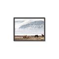 Picture of Wild Horses _GroupedProduct_Rectangle_Landscape_Photography _GroupedProduct_Rectangle_Landscape_Canvas_Framed_