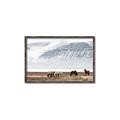 Picture of Wild Horses _GroupedProduct_Rectangle_Landscape_Photography _GroupedProduct_Rectangle_Landscape_Canvas_Framed_