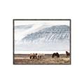 Picture of Wild Horses _GroupedProduct_Rectangle_Landscape_Photography _GroupedProduct_Rectangle_Landscape_Canvas_Framed_