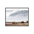 Picture of Wild Horses _GroupedProduct_Rectangle_Landscape_Photography _GroupedProduct_Rectangle_Landscape_Canvas_Framed_
