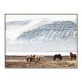 Picture of Wild Horses _GroupedProduct_Rectangle_Landscape_Photography _GroupedProduct_Rectangle_Landscape_Canvas_Framed_