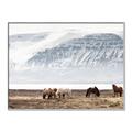 Picture of Wild Horses _GroupedProduct_Rectangle_Landscape_Photography _GroupedProduct_Rectangle_Landscape_Canvas_Framed_