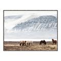Picture of Wild Horses _GroupedProduct_Rectangle_Landscape_Photography _GroupedProduct_Rectangle_Landscape_Canvas_Framed_