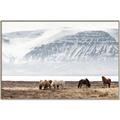 Picture of Wild Horses _GroupedProduct_Rectangle_Landscape_Photography _GroupedProduct_Rectangle_Landscape_Canvas_Framed_