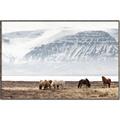 Picture of Wild Horses _GroupedProduct_Rectangle_Landscape_Photography _GroupedProduct_Rectangle_Landscape_Canvas_Framed_