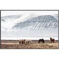 Picture of Wild Horses _GroupedProduct_Rectangle_Landscape_Photography _GroupedProduct_Rectangle_Landscape_Canvas_Framed_