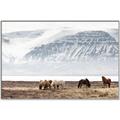 Picture of Wild Horses _GroupedProduct_Rectangle_Landscape_Photography _GroupedProduct_Rectangle_Landscape_Canvas_Framed_
