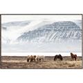 Picture of Wild Horses _GroupedProduct_Rectangle_Landscape_Photography _GroupedProduct_Rectangle_Landscape_Canvas_Framed_