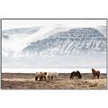 Picture of Wild Horses _GroupedProduct_Rectangle_Landscape_Photography _GroupedProduct_Rectangle_Landscape_Canvas_Framed_