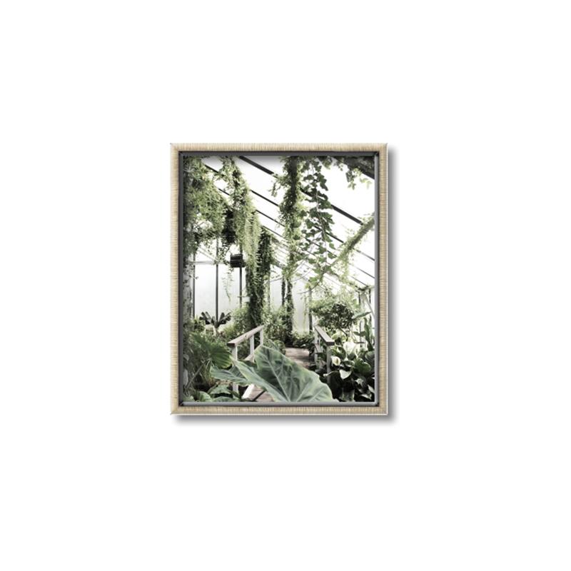 Picture of Greenhouse Serenity  _GroupedProduct_Rectangle_Portrait_Photography _GroupedProduct_Rectangle_Portrait_Canvas_Framed_