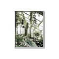 Picture of Greenhouse Serenity  _GroupedProduct_Rectangle_Portrait_Photography _GroupedProduct_Rectangle_Portrait_Canvas_Framed_