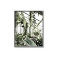 Picture of Greenhouse Serenity  _GroupedProduct_Rectangle_Portrait_Photography _GroupedProduct_Rectangle_Portrait_Canvas_Framed_
