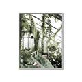 Picture of Greenhouse Serenity  _GroupedProduct_Rectangle_Portrait_Photography _GroupedProduct_Rectangle_Portrait_Canvas_Framed_