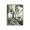Picture of Greenhouse Serenity  _GroupedProduct_Rectangle_Portrait_Photography _GroupedProduct_Rectangle_Portrait_Canvas_Framed_