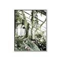 Picture of Greenhouse Serenity  _GroupedProduct_Rectangle_Portrait_Photography _GroupedProduct_Rectangle_Portrait_Canvas_Framed_
